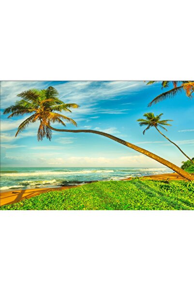 media Fototapet de perete autoadeziv si lavabil Palmieri peste plaja, 270 x 2...
