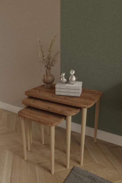 woodaria Dikdörtgen Zigon Sehpa 3'lü Set – Ahşap Ayaklı Modern Tasarım - Yan ...