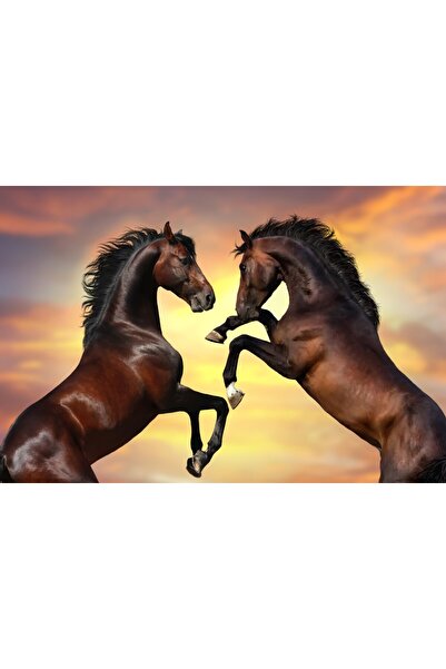 media Fototapet autocolant Doi cai, armasari, apus de soare, 200 x 150 cm