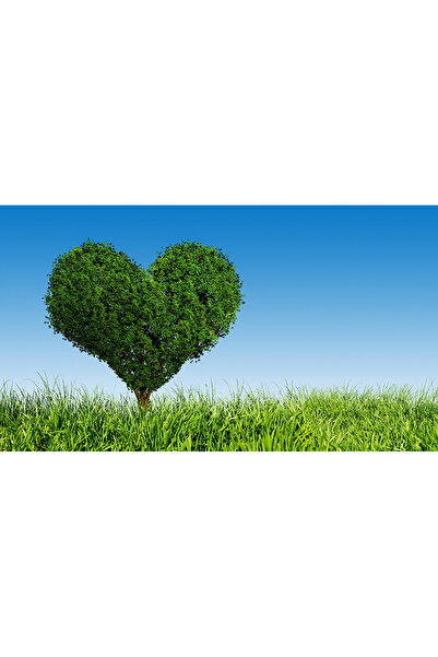 media Fototapet de perete autoadeziv si lavabil Pomul vietii, 400 x 250 cm