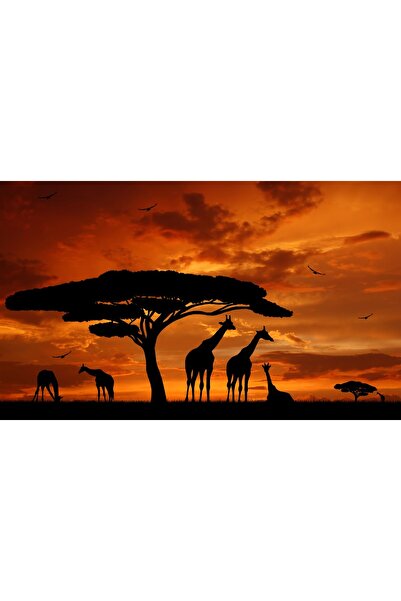 media Fototapet Girafe, apus de soare, 250 x 200 cm