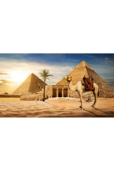 media Самозалепващ се и миещ се фототапет „Пирамиди 4“, 270 x 200 см
