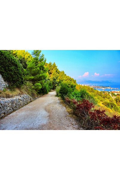 media Fototapet de perete autoadeziv si lavabil Drum de tara spre mare, 220 x...