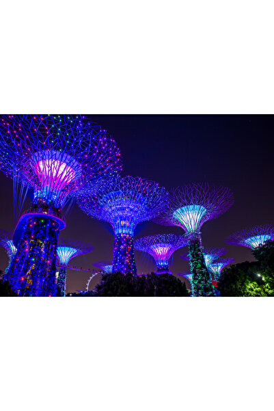 media Αυτοκόλλητη και πλενόμενη τοιχογραφία Singapore Park 3, 220 x 135 εκ.