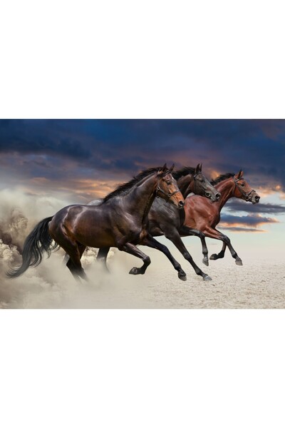 media Fototapet autocolant Trei cai, galop, 300 x 250 cm