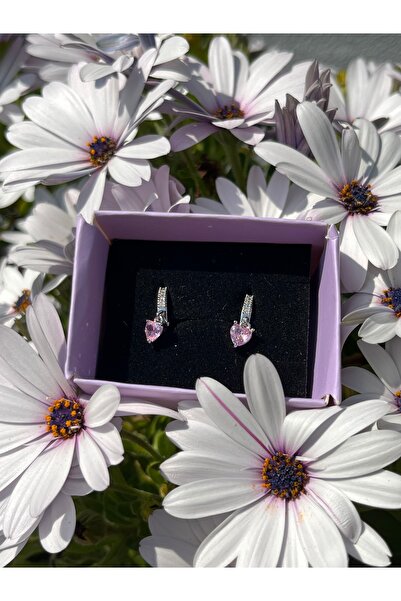 B&E SHİNE JEWERLY Kararmaz Çelik Pembe Zirkon Taş Detay Küpe