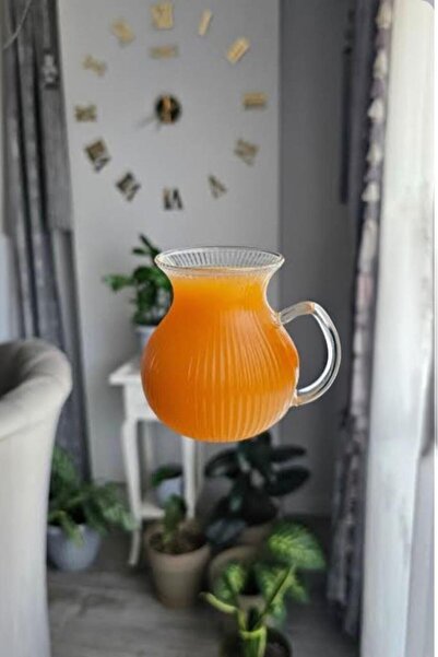 MİEN Mien 6-Piece Striped Borosilicate Glass Tea Cup with Handle 220ml Cup