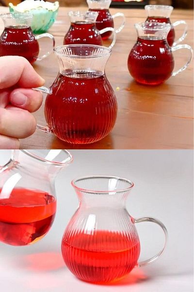 MİEN Mien 6-Piece Striped Borosilicate Glass Tea Cup with Handle 220ml Cup