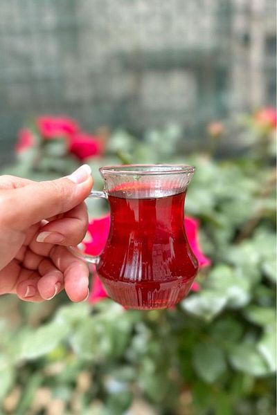 MİEN Mien 6-Person Borosilicate Striped Glass Tea Cup Tea Cup