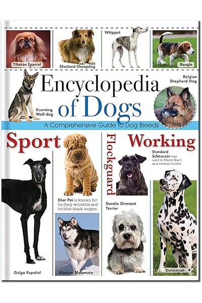 North Parade Publishing Encyclopedia in English - ENCYCLOPEDIA OF DOGS, 124 pages