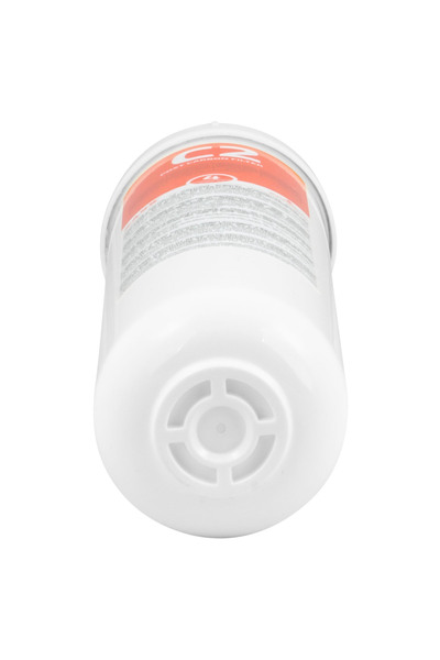 Zass Post Carbon Filter for ZASS ZWF 24-4 dispenser for ZWD 24WF dispenser model, replacement 6-12 months