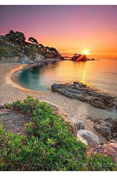 Choice لوحة ماسية دائرية كاملة PM106 مقاس 30 × 40 سم، منظر طبيعي، غابة، فن، ص...