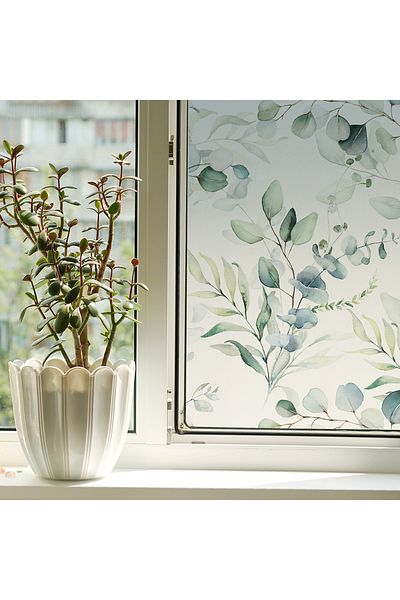 Choice CH-MS40120-436-CC 1 roll painted plant print semi-transparent window adsorption waterproof dumb film
