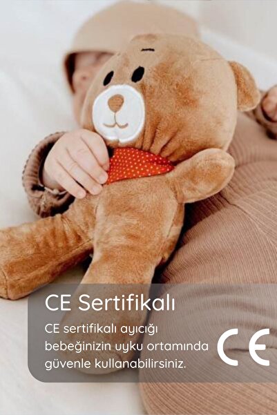 Budizz Budi & Beti 2'li Uyku Arkadaşı Ayıcık