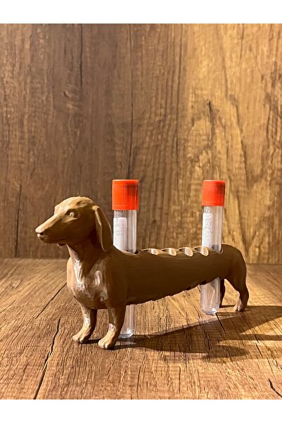 Alp in Alpes Köpek Laboratuvar ve Kan Tüpü Standı