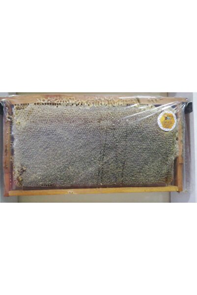 OZMUŞ BAL Kekik Petek Çıta Bal 2600GR