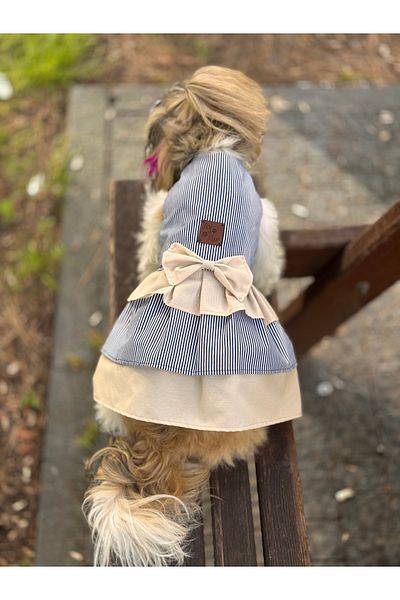 For a Fur Dog Dress Outfit Beige Navy Blue Striped Poplin Fabric Cat Dress