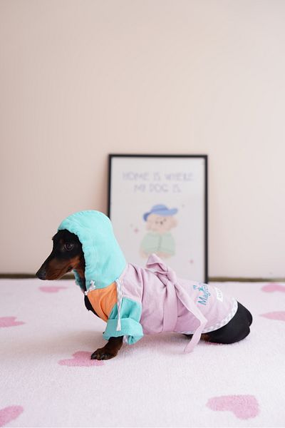 Lorico Dog Bathrobe (for Shower and Beach)