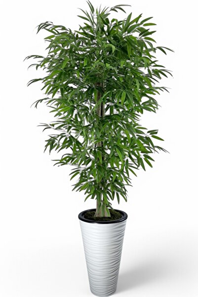 ERHAN FLOWERS ÇİÇEK & DEKORASYON Tek gövdeli bambu ağaç yapay ıslak doku kums...