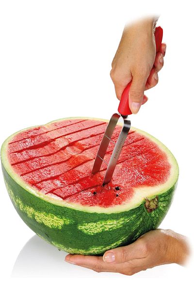 TESCOMA Presto Melon Cutter – T420639, Easy Slicing Tool