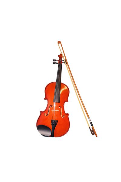 Parrot 1/2 violin with case and bow Parrot PU310