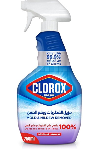 Clorox Mold and Mildew Remover Spray with Bleach, 750 ml