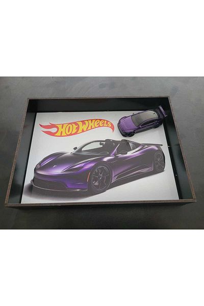 uyced üstün yetenekli çocuklar eğitim kurumları Car Shelf