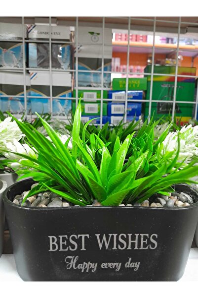 sfs elektrik YAPAY SUKULENT KASEDE OVAL TANZİM ÇİÇEK