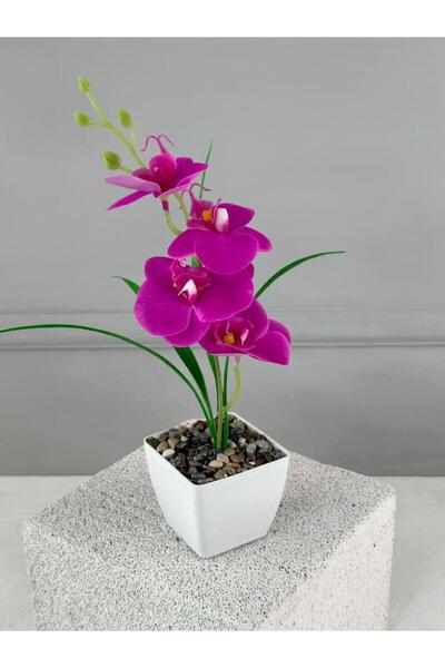 Pembeli Kızın Butiği Saksıda Yapay Mini Islak Orkide 30 Cm Fuşya