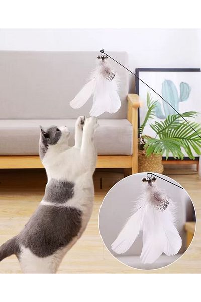 TaoTaoPets Automatic Interactive Cat Feather Toy,Floor-Standing Teaser Rod for Cats,Powerful Suction Cup
