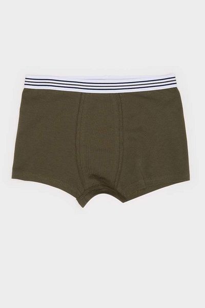 DeFacto Boy's Cactus Patterned 3-Piece Boxer E6871A825Sp