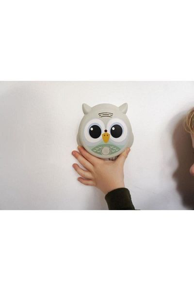 Flow Mr. Owl Smoke Alarm