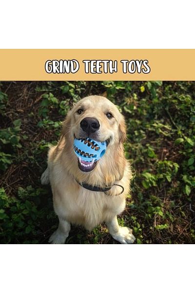 Emperium Dog Training and Play Ball with Food Bowl