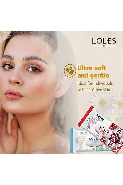 Lole's Flushable Cleaning Wet Wipes, Pack of 1 x 42 Wipes