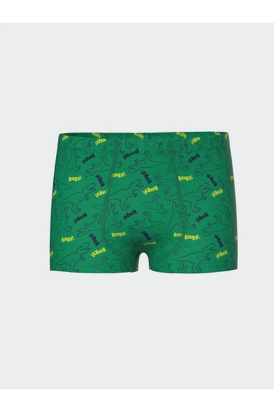 LC Waikiki Lcw Kids Printed Boys' Boxers 3-Pack (S5)