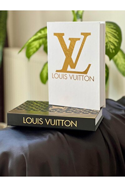 BGV HOME Decorative Book Box Set of 2 (L/Lv)
