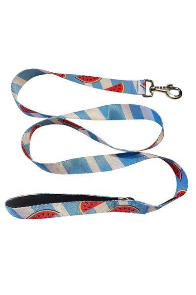 collars and paws C&P Watermelon Dog Walking Strap 120 cm X 2.5 cm