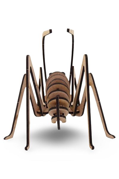 ALGWOOD 26 Pieces Wooden Grasshopper Model - Wooden Insect Figure - Educational Wooden 3D Grasshopper Figure
