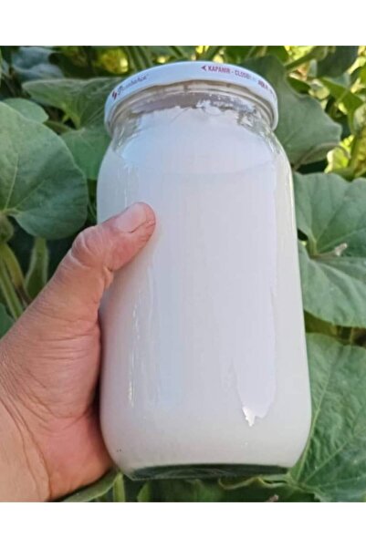 SAFA HATAY YÖRESEL ÜRÜNLER SAFA HATAY YÖRESEL HATAY ORGANİK TUZLUYOĞURT 1KG