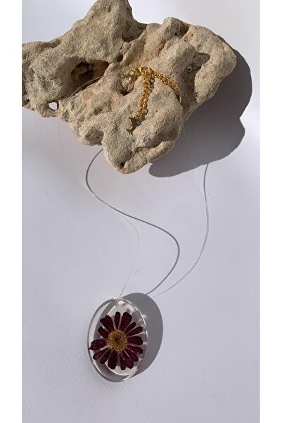 MISS GOLDEN Transparent Colored Dried Purple Daisy Oval Shaped Dolphin Gold A...