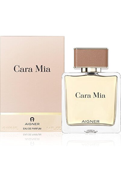 Aigner عطر هي وود سيلفر ويند للرجال من دي سكويرد² أو دو تواليت 100 مل