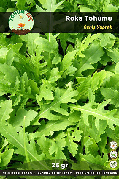 Roka Tohumu, Yerli Doğal Tohum, Takribi 13.000+ Adet Tohum, 25 gr