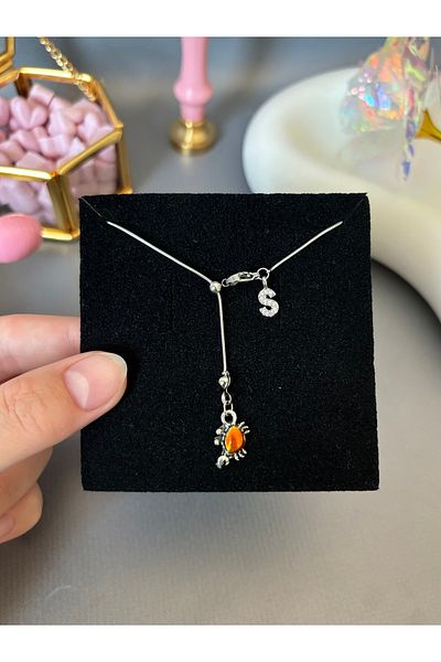 AccSWEN Letter Crab Sign Necklace Horoscope Necklace Ss Stamped Steel