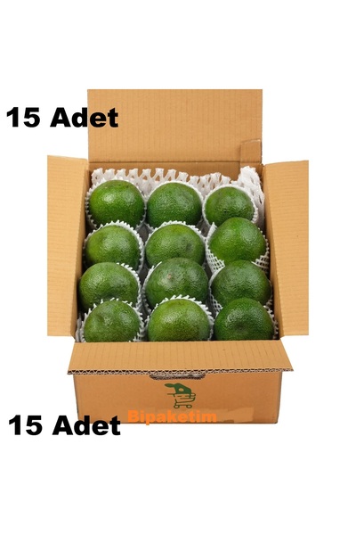Bipaketim avokado meyvesi taze avocado fruit 15 Adet 1 koli toptan