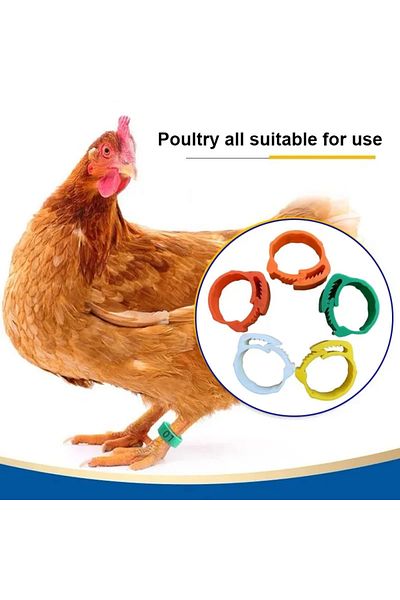 BOEM Set of 25 Adjustable Clip Rings – The Ideal Solution for Identifying Your Birds