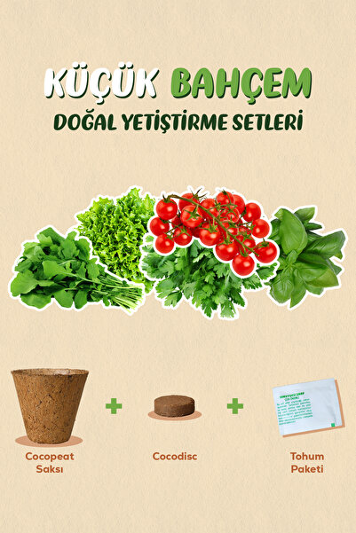Genta Küçük Bahçem Çeri Domates Tohumu Yetiştirme Seti