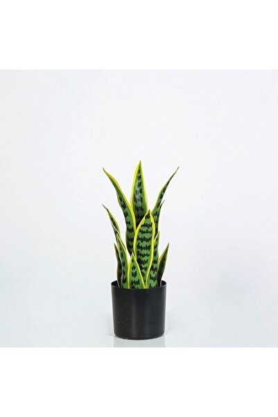 Vitale زهرة سانسيفيرا الاصطناعية في أصيص 39 سم