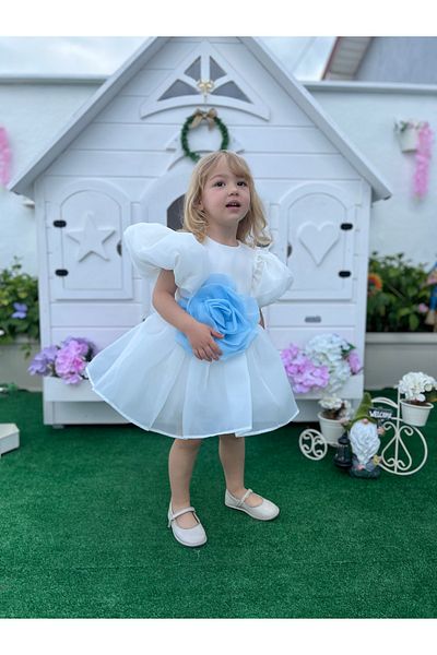 Linola Baby Kids Rose- Ecru Chiffon Short Sleeve Girl's Dress