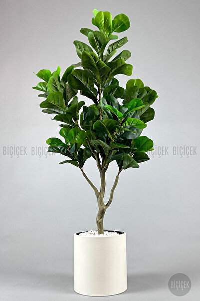 BİÇİÇEK Keman Yapraklı Kauçuk Bitkisi Fiddle Lyrata Metal Saksı