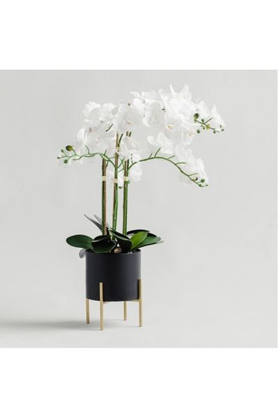 HomeVibes Flori decorative de orhidee